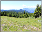 foto Panorama dal Monte Verena